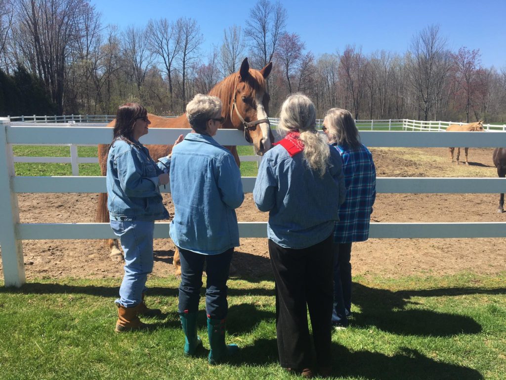 Black Horse Spirit & Mister Dare welcome experiential learners to Rivendell Farm.